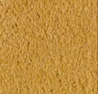Butter Carpet Sample