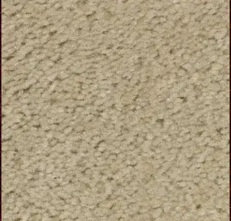 Ivory Carpet Sample