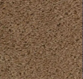 Silk Beige Carpet Sample