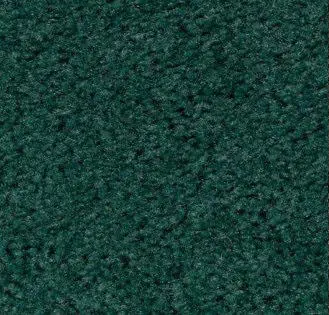 Spice Teal Carpet Sample