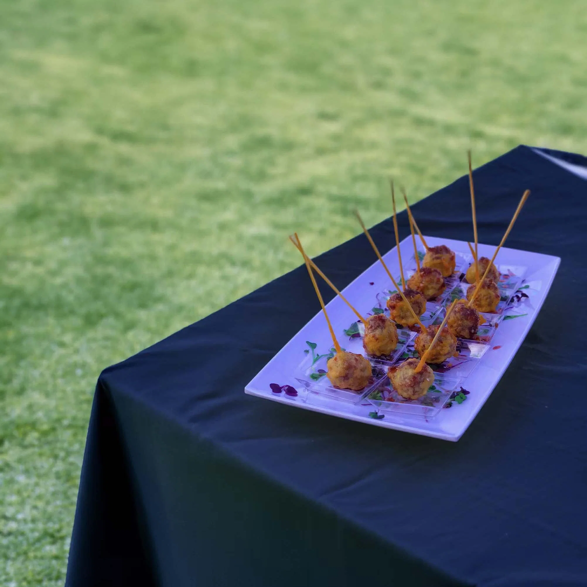 Event hospitality equipment and service support