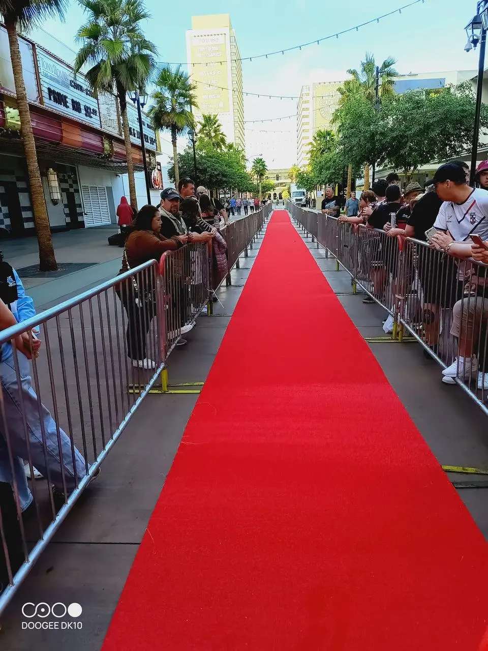 Red Carpet Silver Barriers Outdoor Event Crowd Control Las Vegas